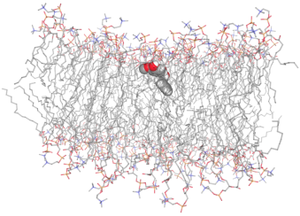 lignin1_bilayer_width=339.png